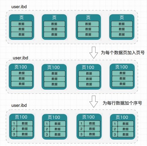 MySQL架構揭秘 從數據存儲到高效查詢的奧秘